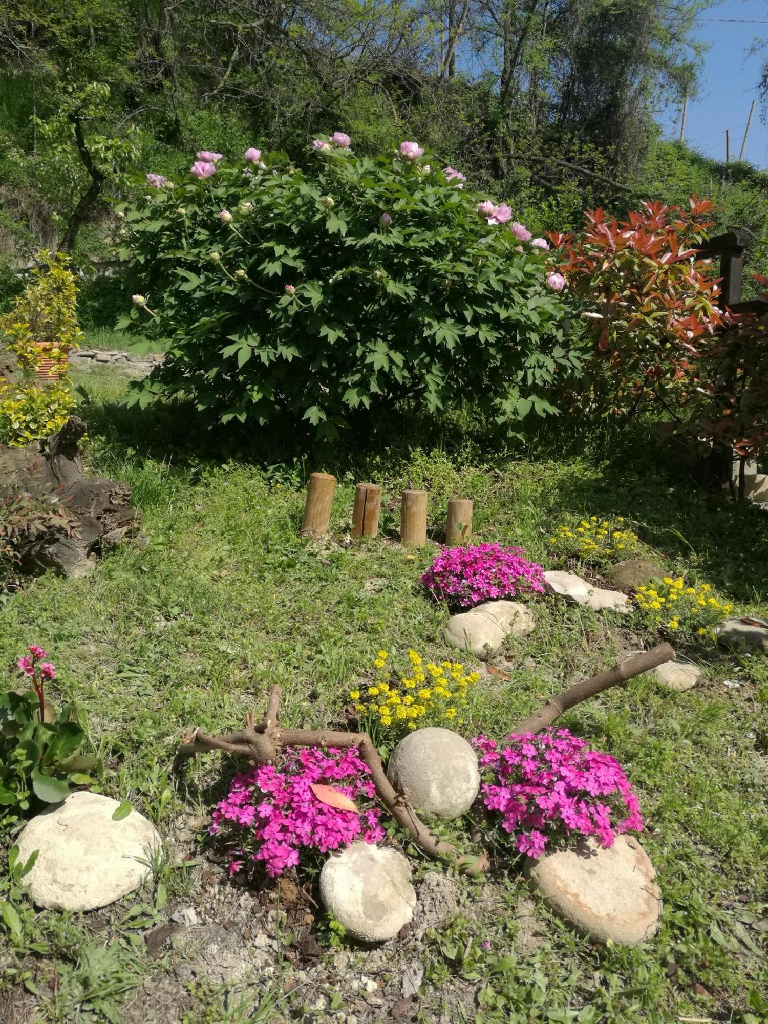 Вілла Le Rose Di Mapi Mango Екстер'єр фото