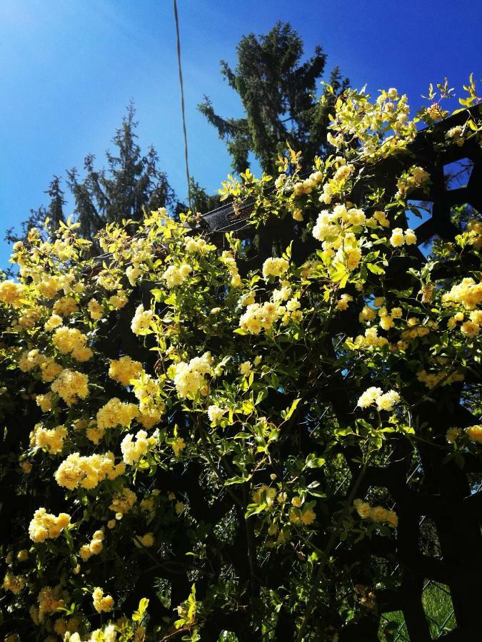 Вілла Le Rose Di Mapi Mango Екстер'єр фото